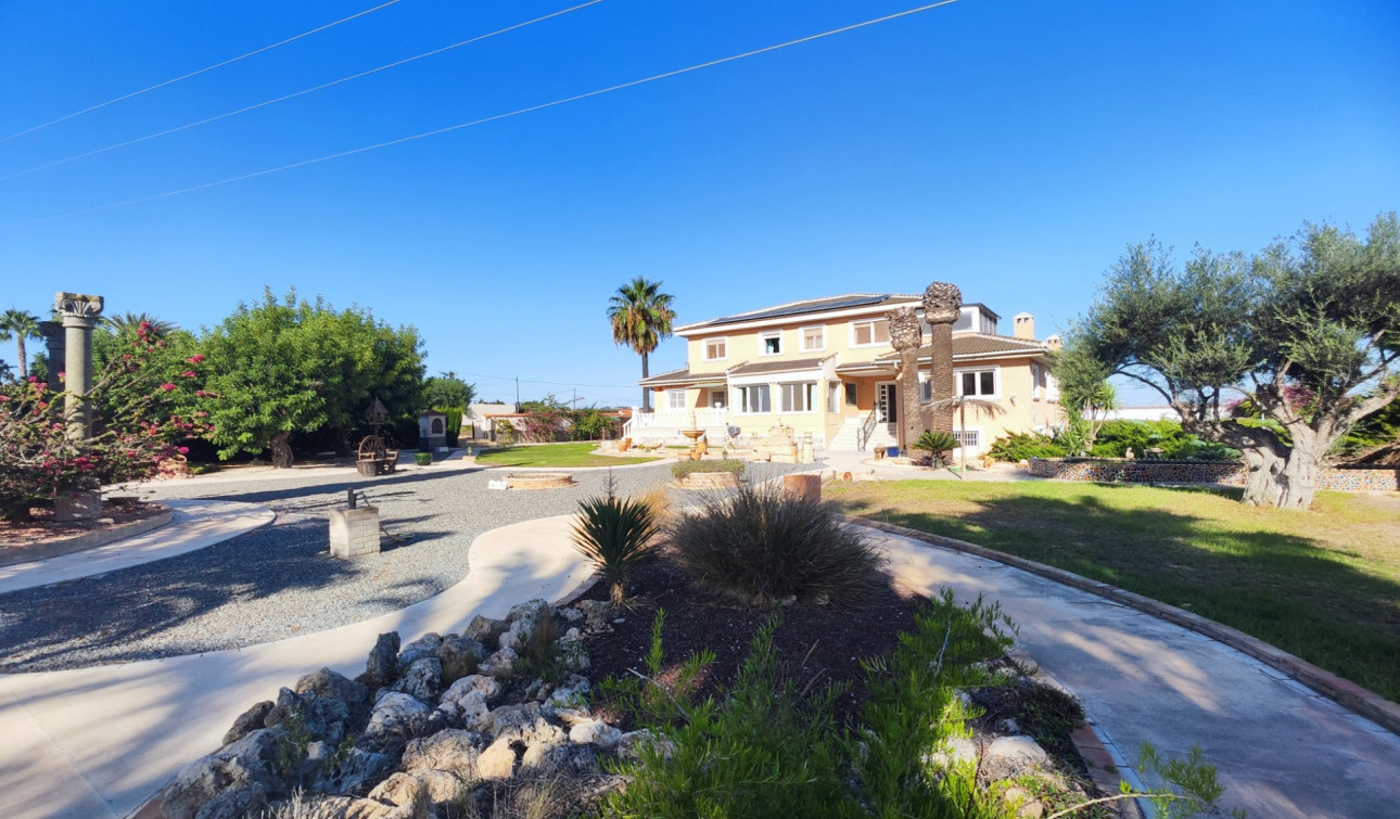 Resale - Finca / Country Property - San Miguel de Salinas