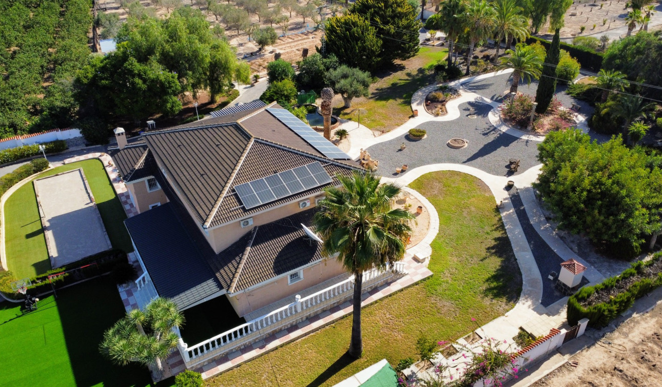 Resale - Finca / Country Property - San Miguel de Salinas