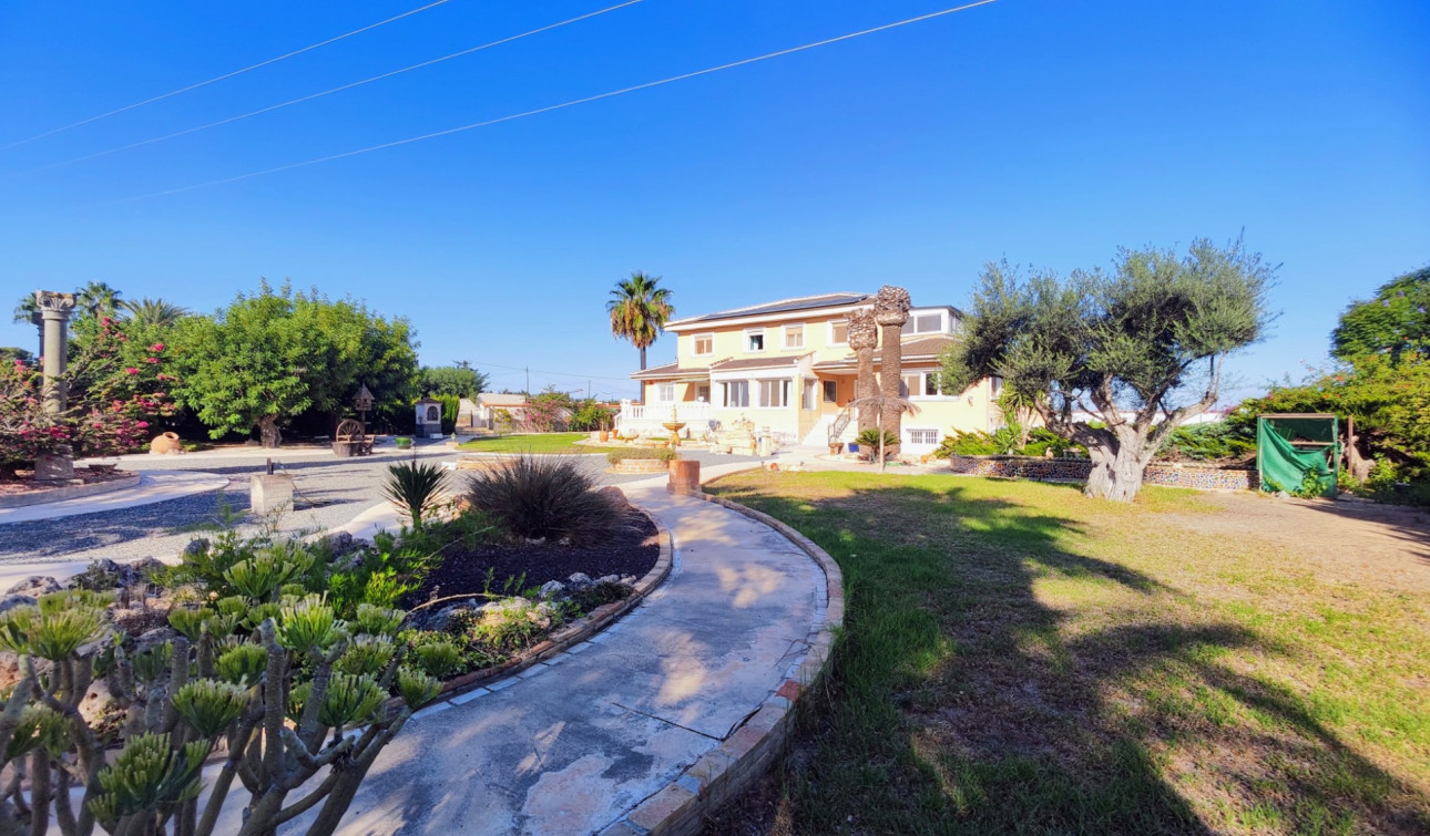 Resale - Finca / Country Property - San Miguel de Salinas