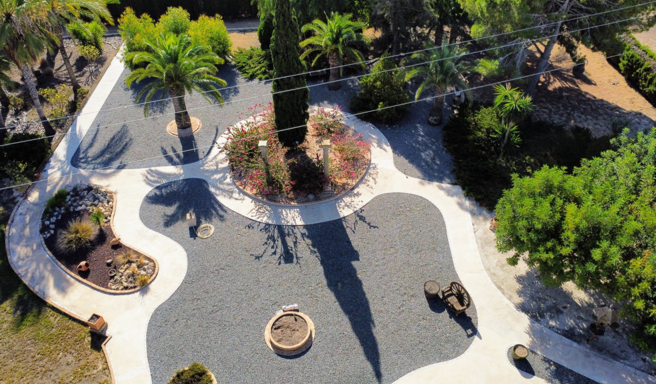 Resale - Finca / Country Property - San Miguel de Salinas