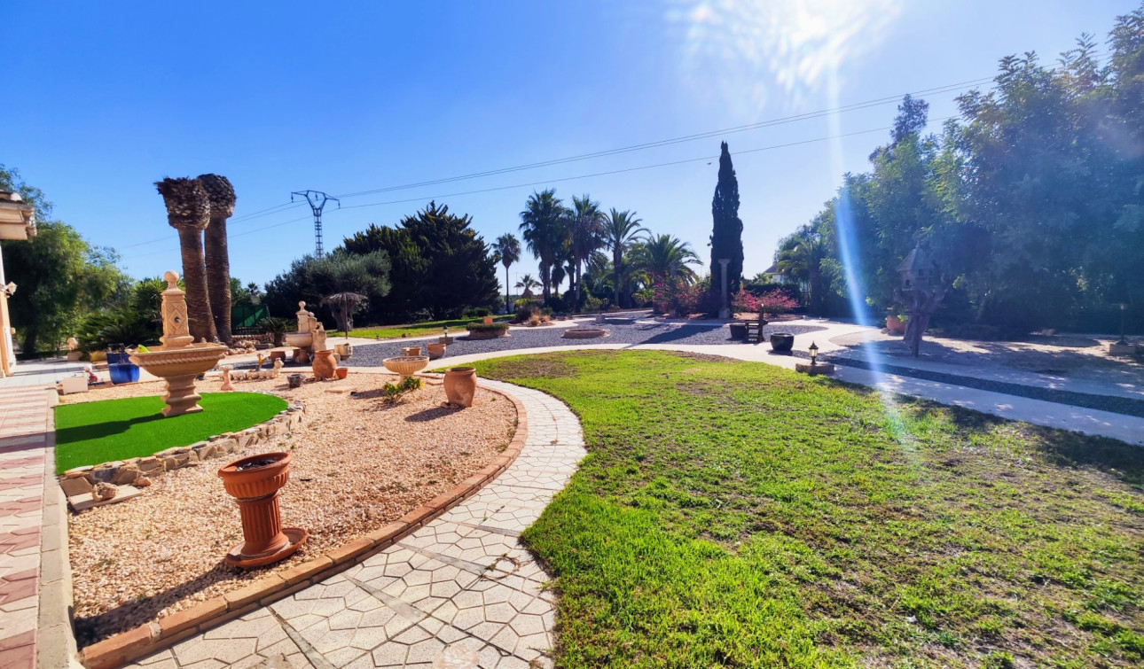 Resale - Finca / Country Property - San Miguel de Salinas