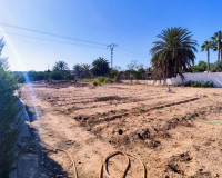 Resale - Finca / Country Property - San Miguel de Salinas