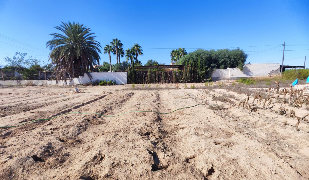 Resale - Finca / Country Property - San Miguel de Salinas