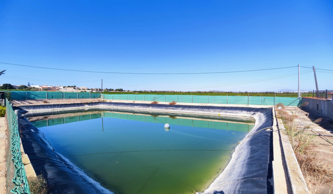 Resale - Finca / Country Property - San Miguel de Salinas