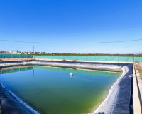 Resale - Finca / Country Property - San Miguel de Salinas