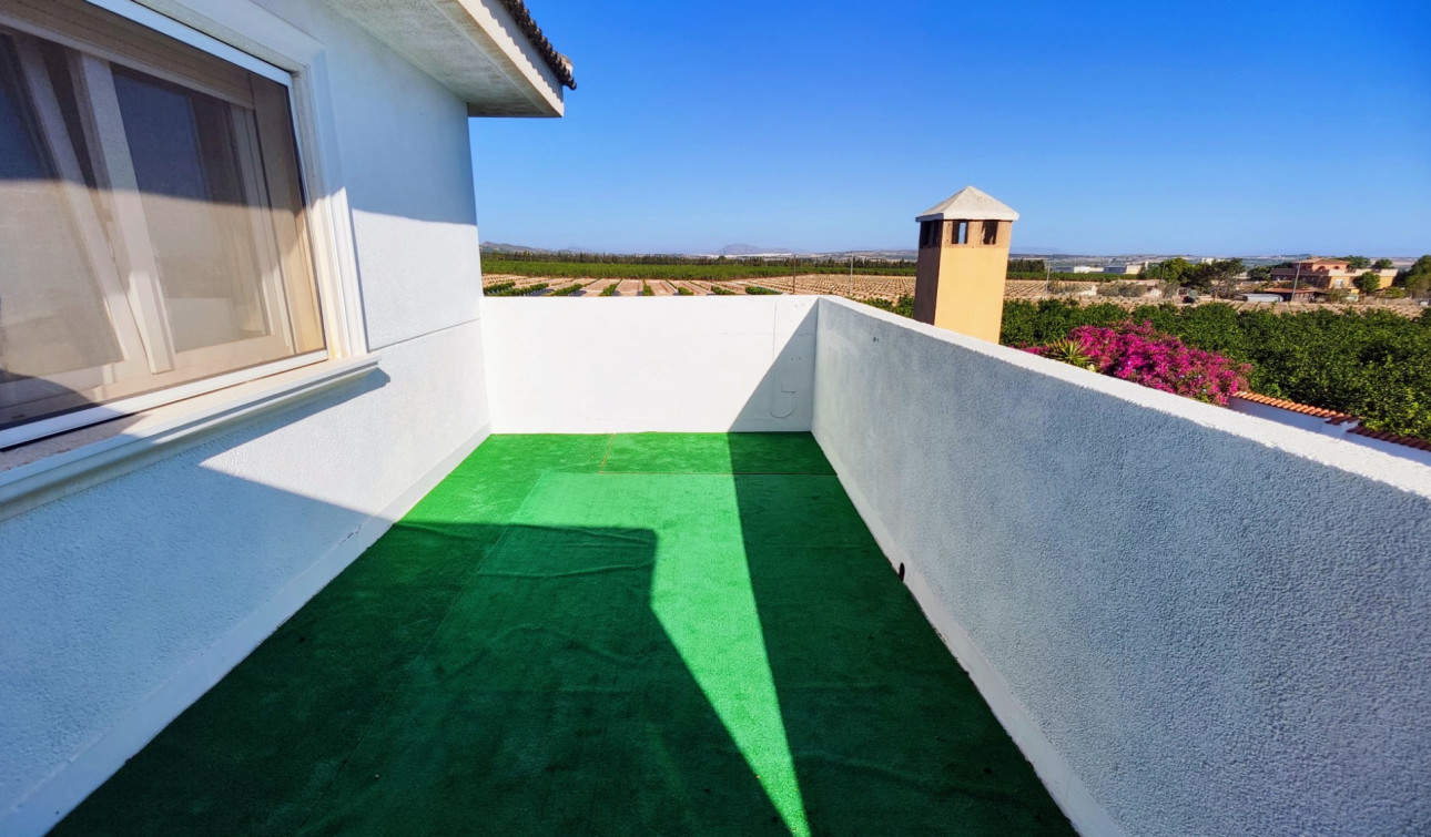 Resale - Finca / Country Property - San Miguel de Salinas