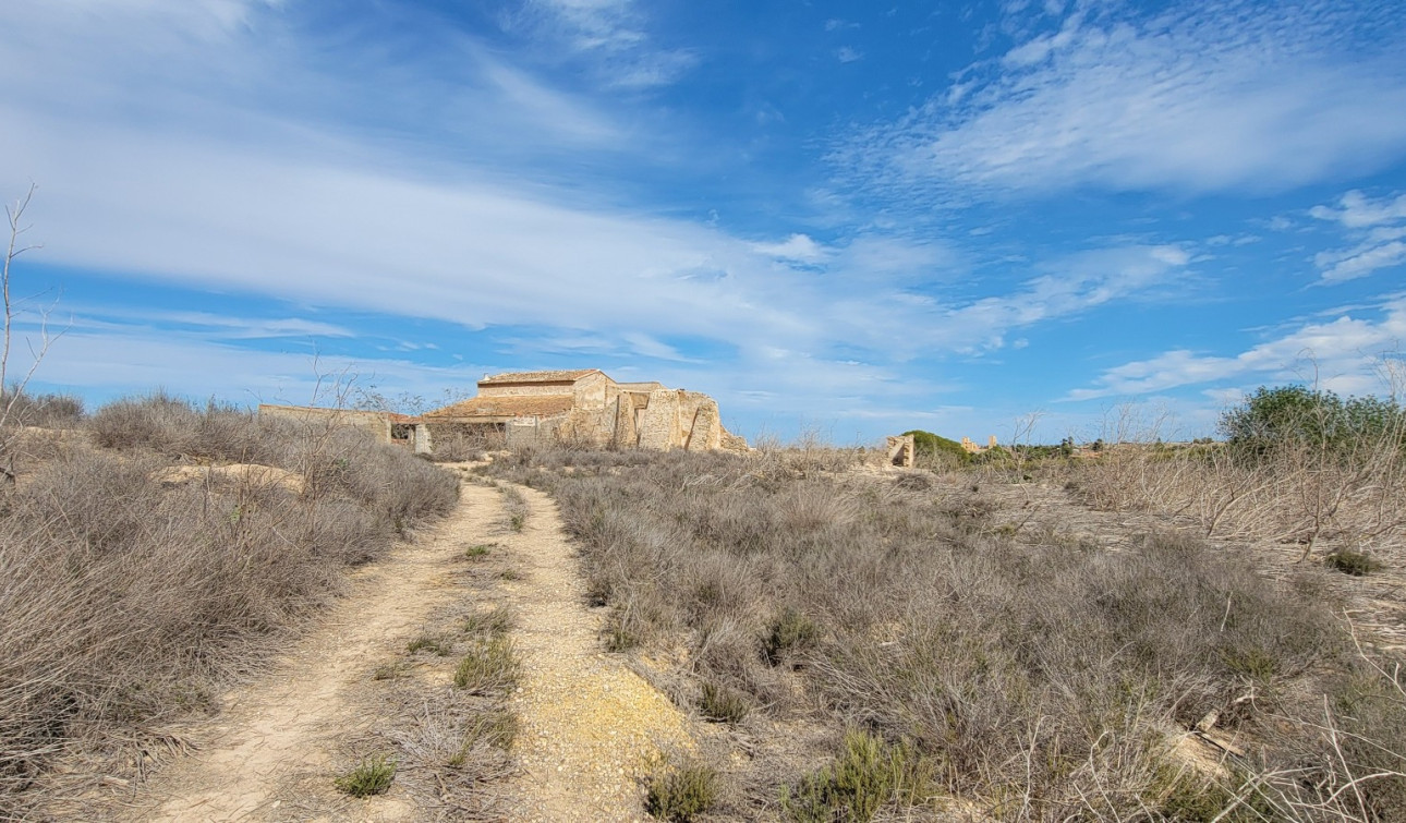 Resale - Finca / Country Property - San Miguel de Salinas