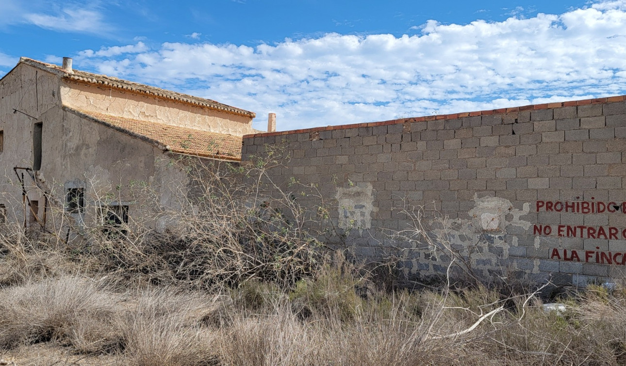 Resale - Finca / Country Property - San Miguel de Salinas