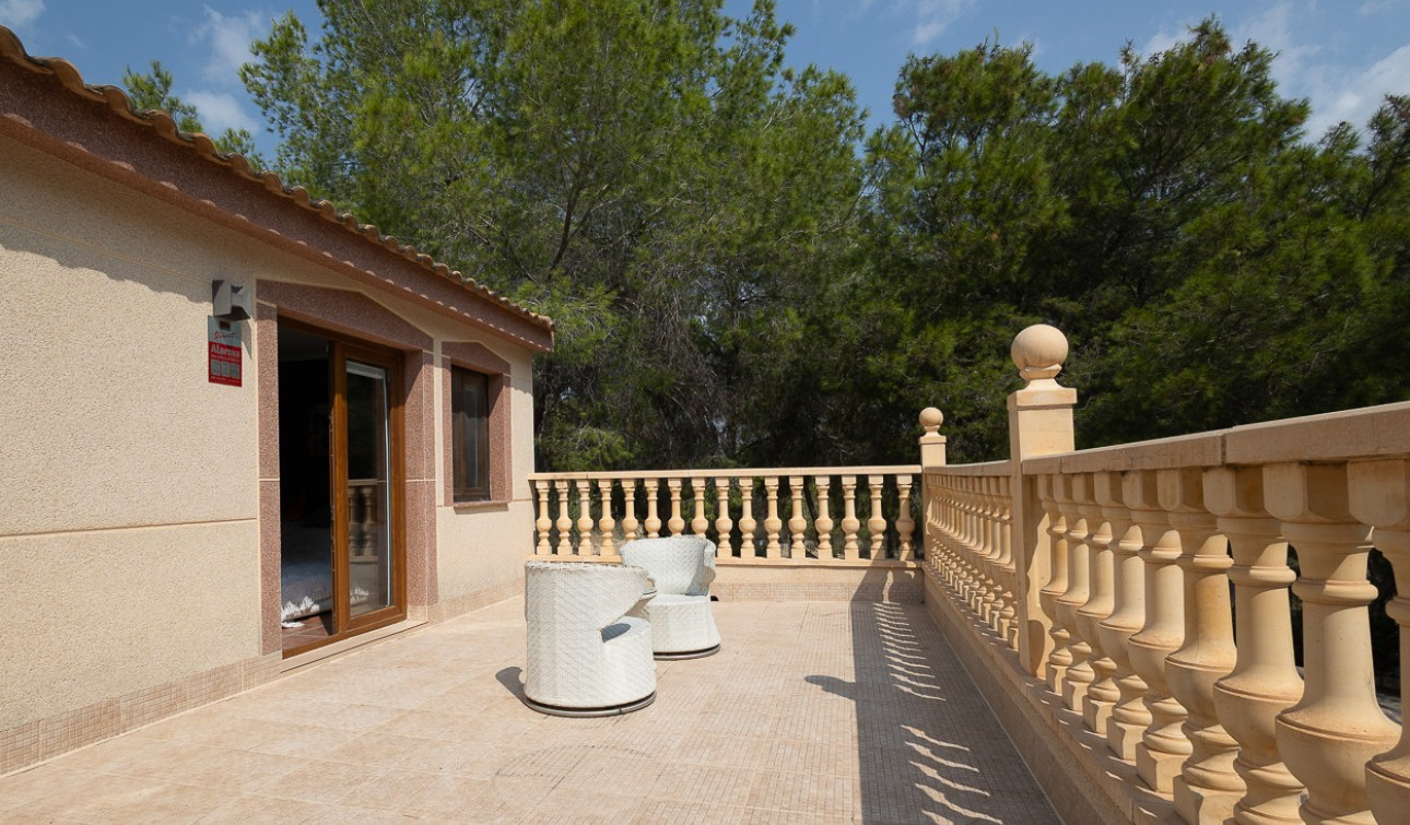 Resale - Finca / Country Property - Torremendo