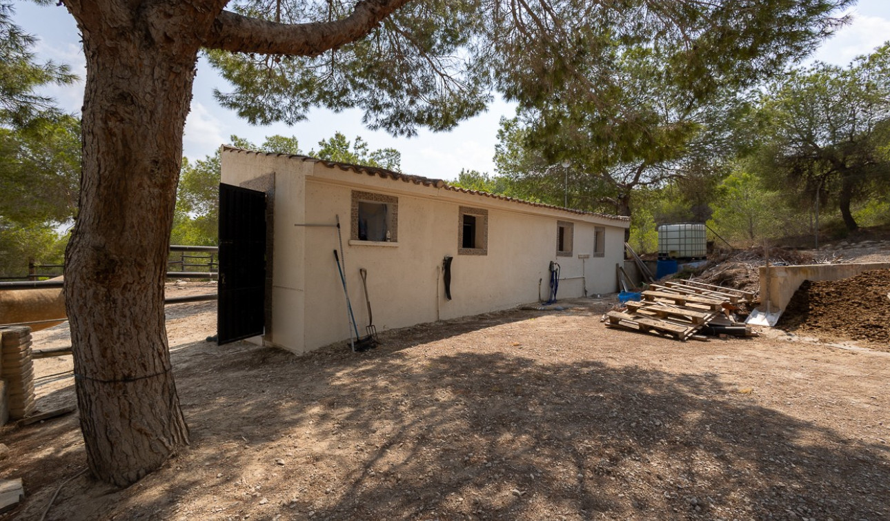 Resale - Finca / Country Property - Torremendo