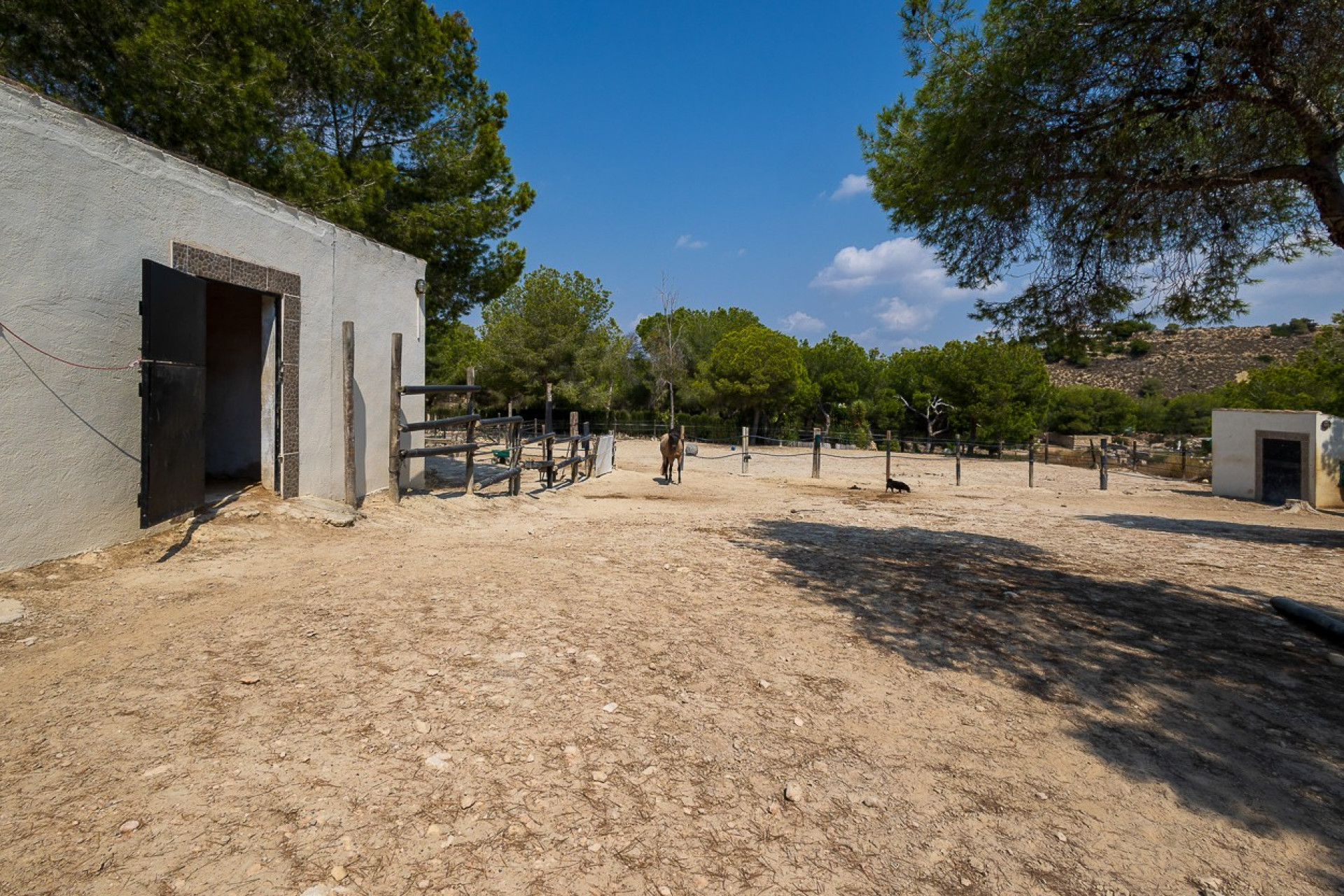 Resale - Finca / Country Property - Torremendo