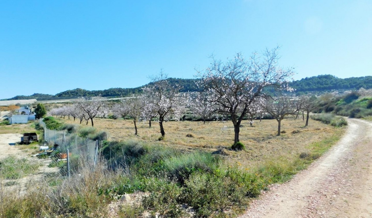 Resale - Finca / Country Property - Torremendo