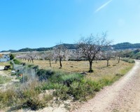 Resale - Finca / Country Property - Torremendo