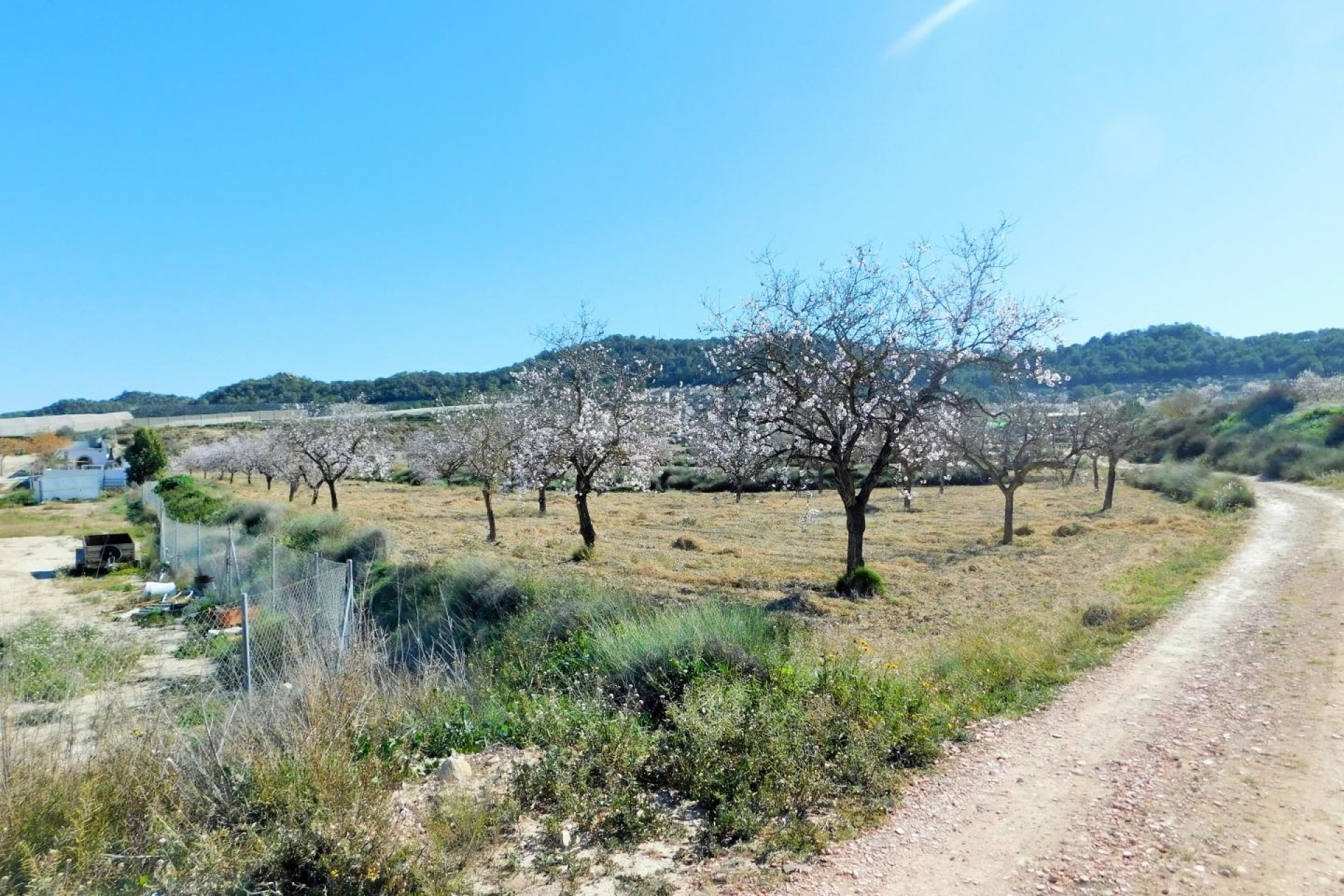 Resale - Finca / Country Property - Torremendo