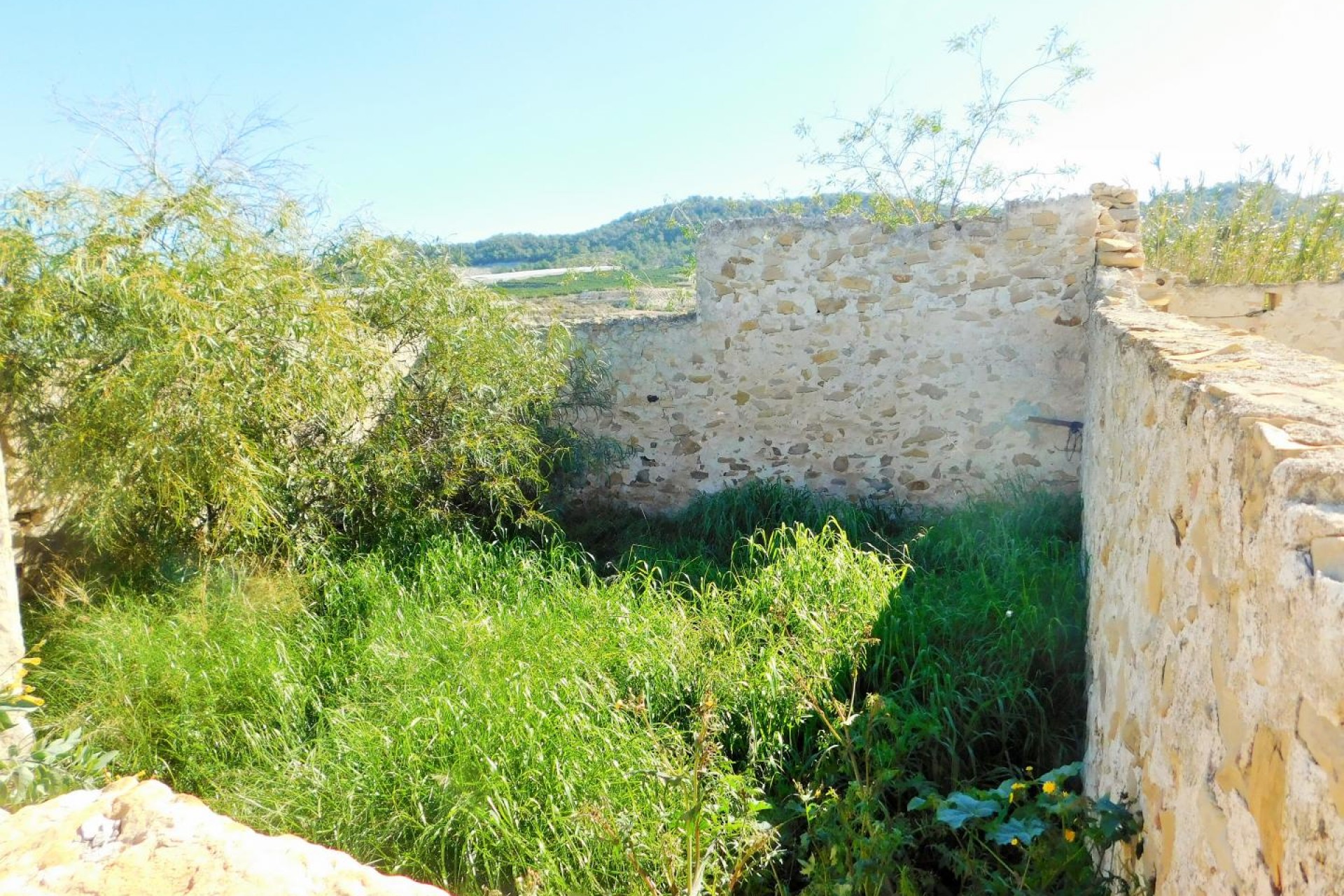 Resale - Finca / Country Property - Torremendo