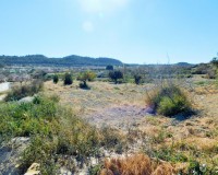 Resale - Finca / Country Property - Torremendo