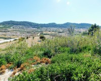 Resale - Finca / Country Property - Torremendo