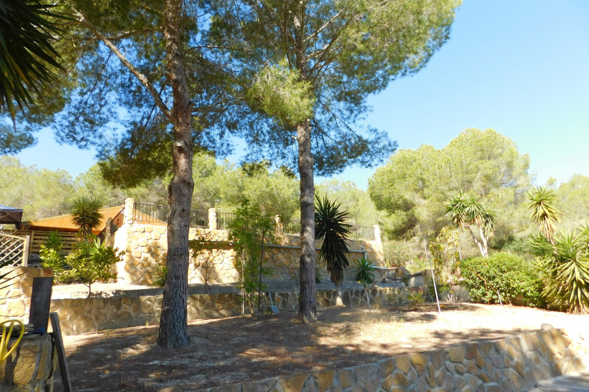 Resale - Finca / Country Property - Torremendo