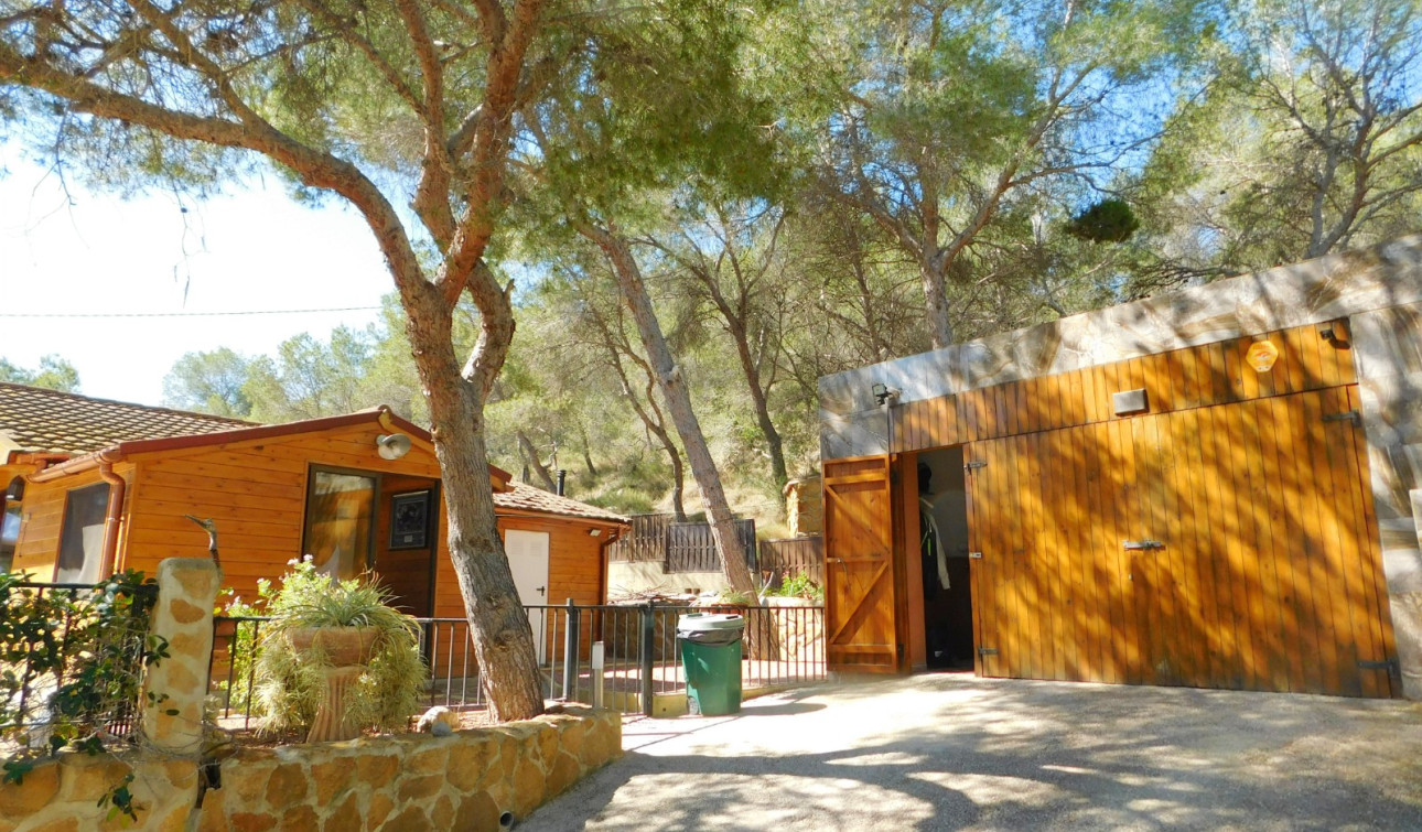 Resale - Finca / Country Property - Torremendo