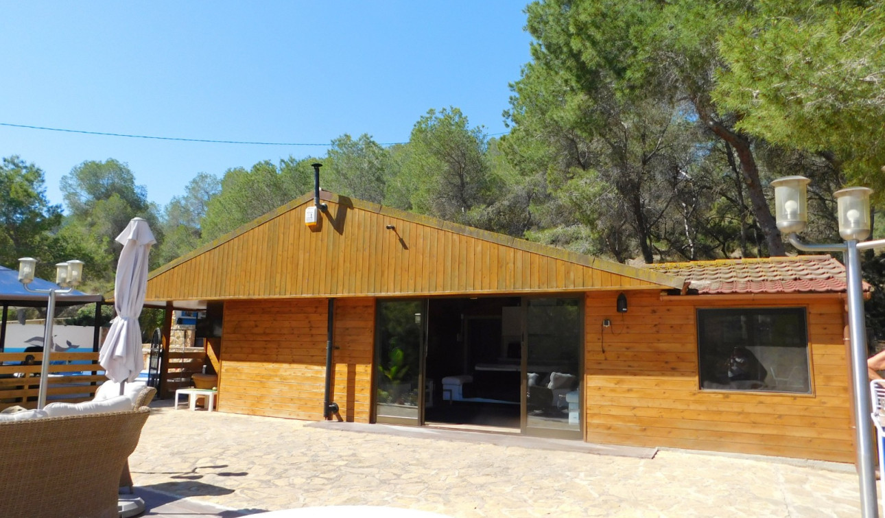 Resale - Finca / Country Property - Torremendo