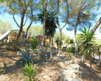 Resale - Finca / Country Property - Torremendo