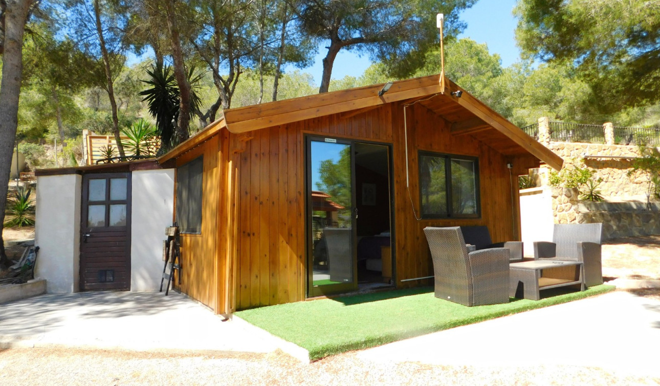 Resale - Finca / Country Property - Torremendo