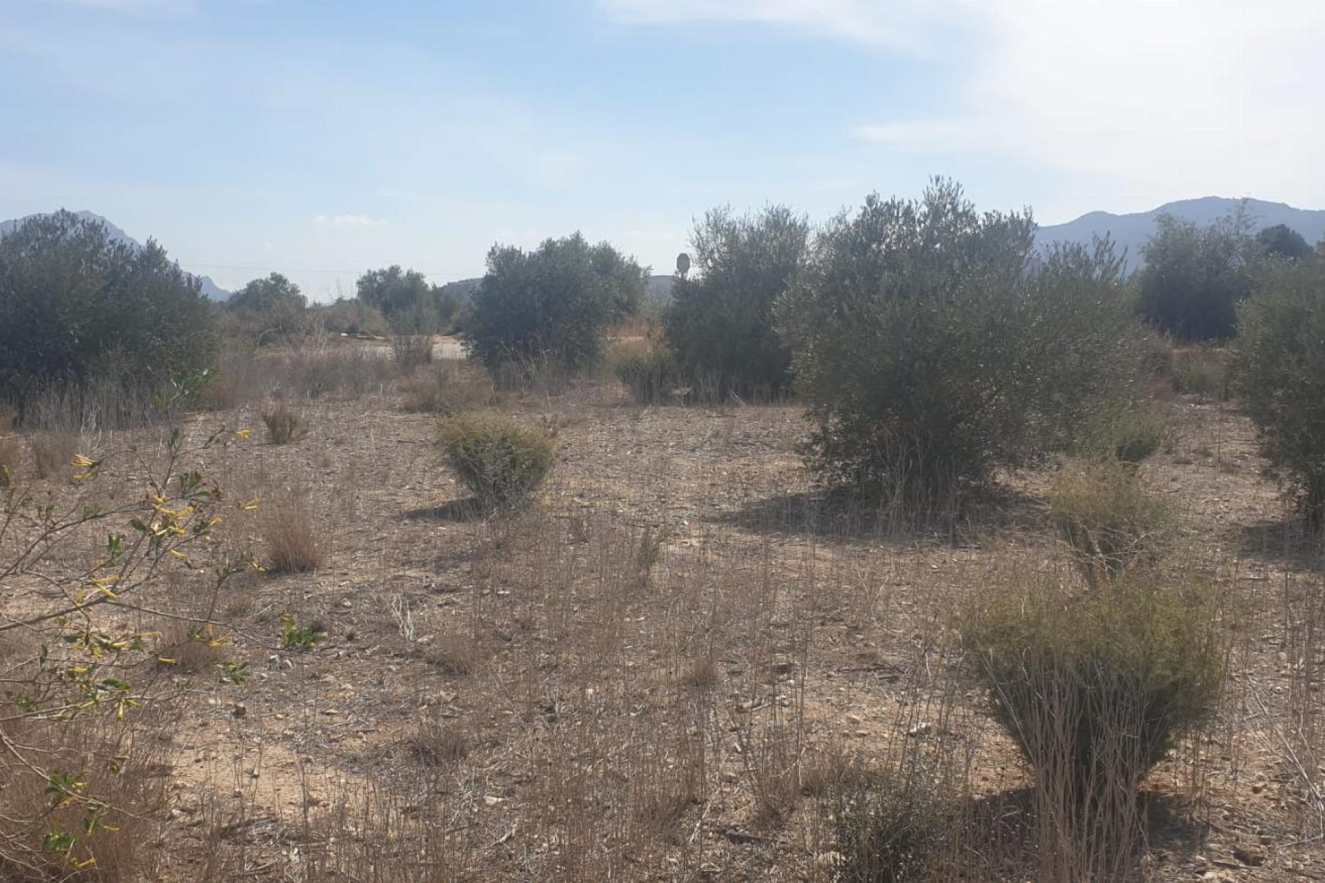 Resale - Plot / Land - Benferri - HUERTA PUEBLO