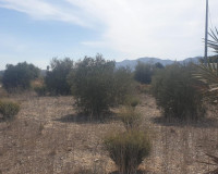 Resale - Plot / Land - Benferri - HUERTA PUEBLO