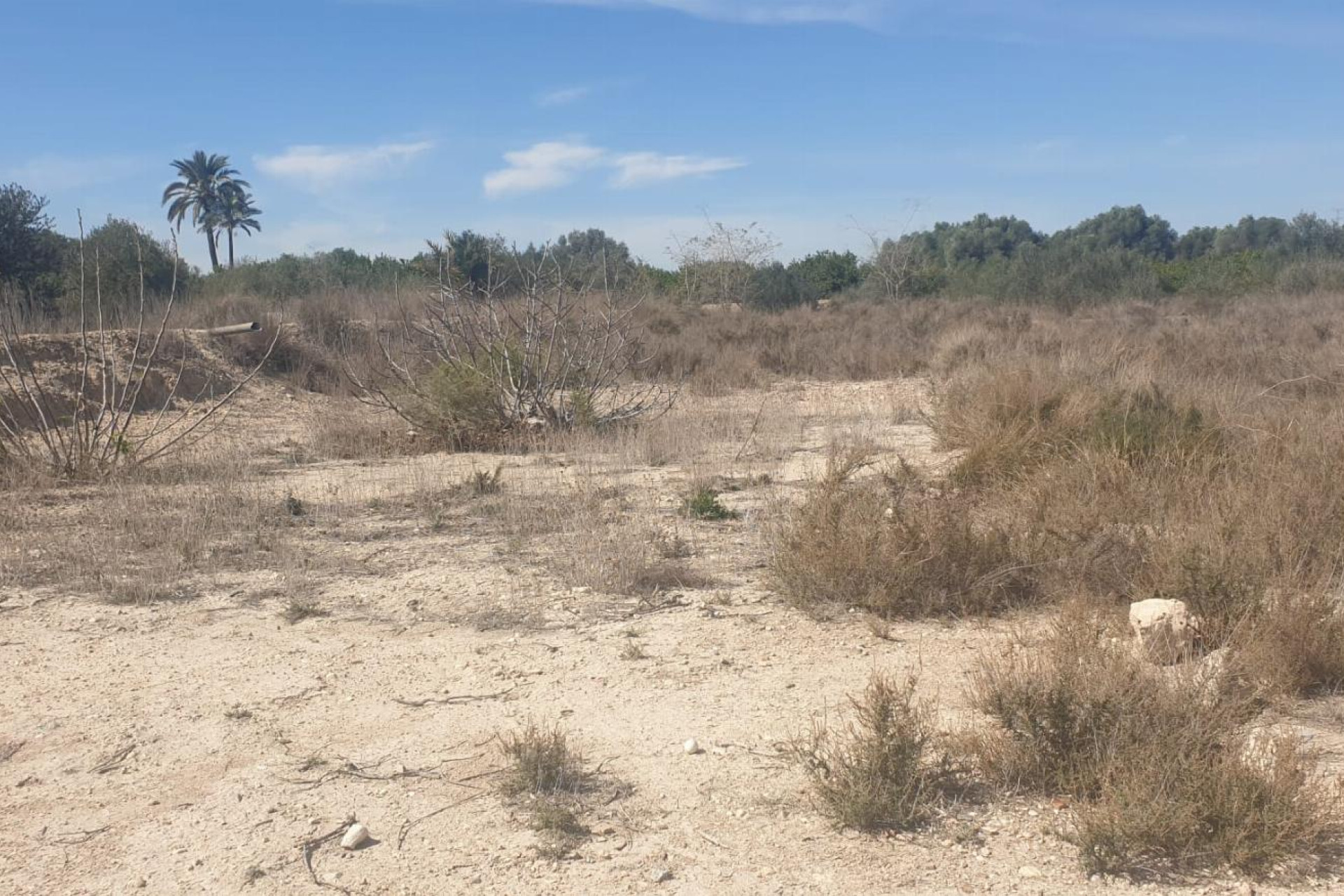 Resale - Plot / Land - Benferri - HUERTA PUEBLO