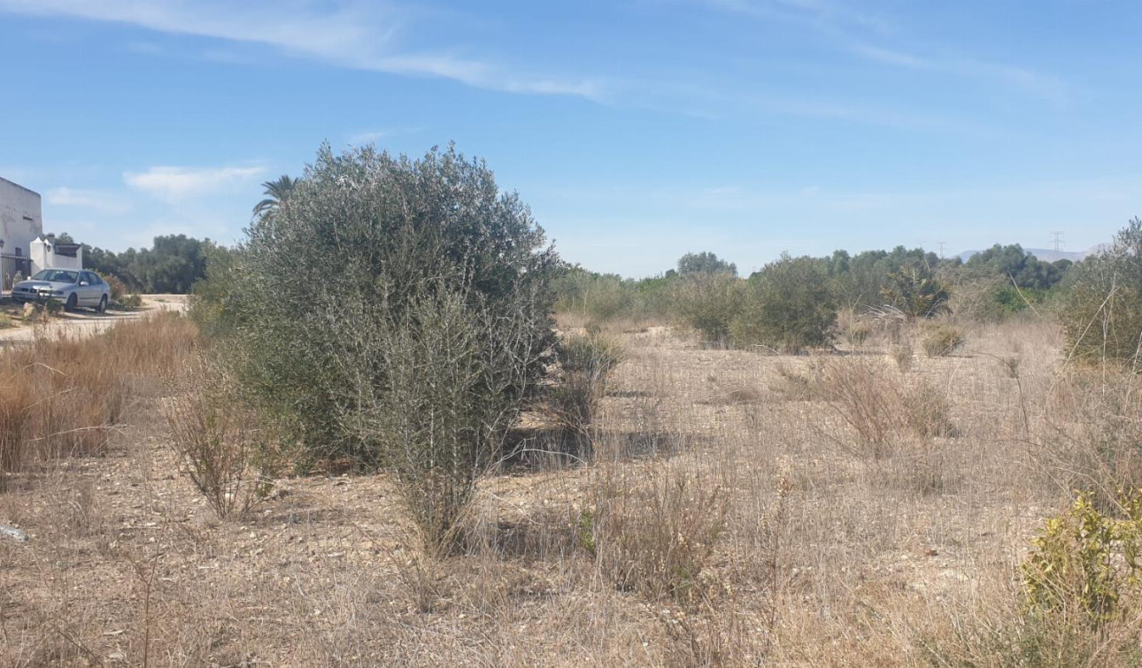 Resale - Plot / Land - Benferri - HUERTA PUEBLO