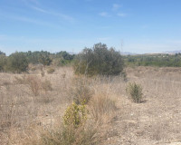Resale - Plot / Land - Benferri - HUERTA PUEBLO
