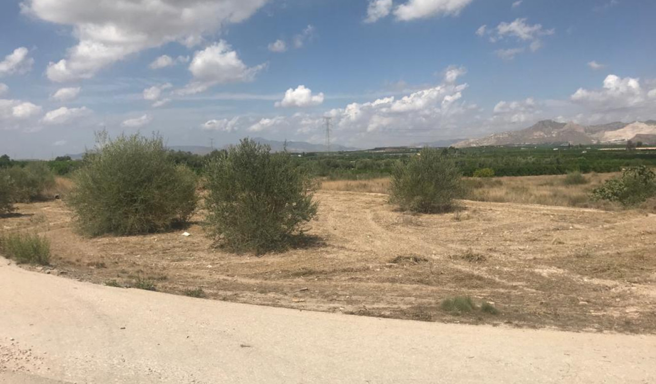 Resale - Plot / Land - Benferri - HUERTA PUEBLO