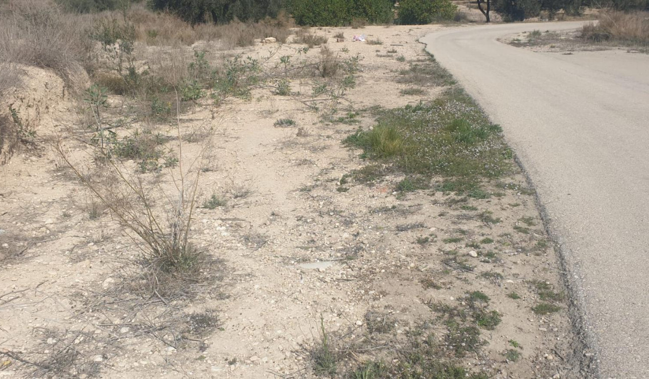 Resale - Plot / Land - Benferri - HUERTA PUEBLO