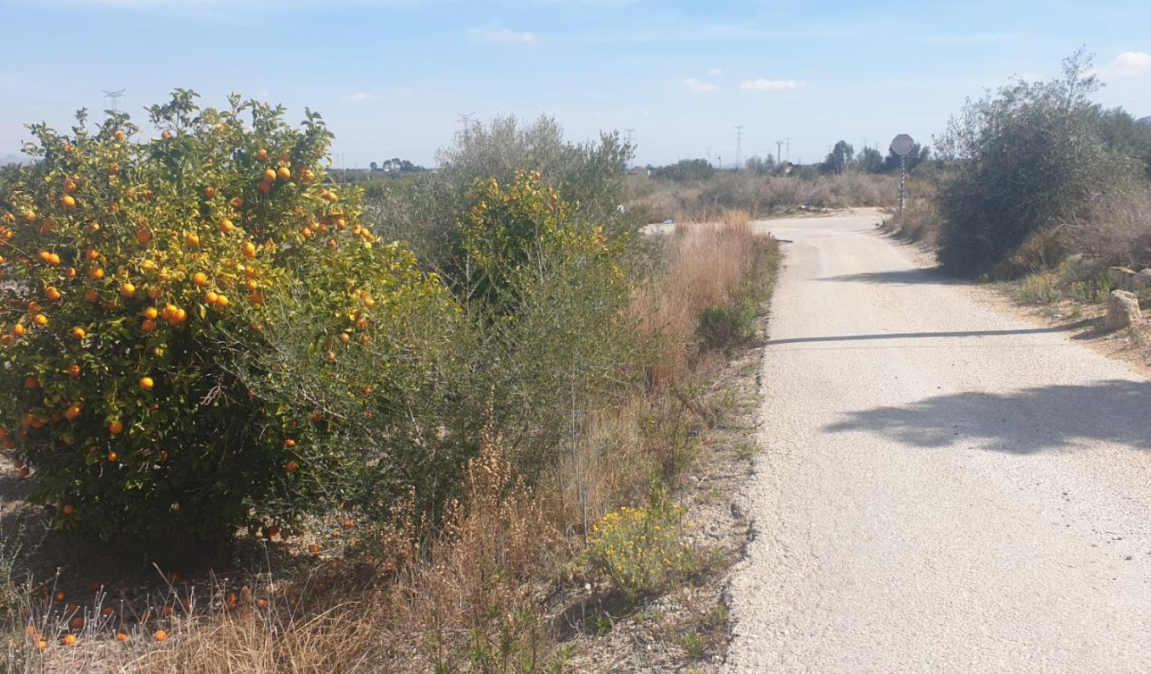 Resale - Plot / Land - Benferri - HUERTA PUEBLO