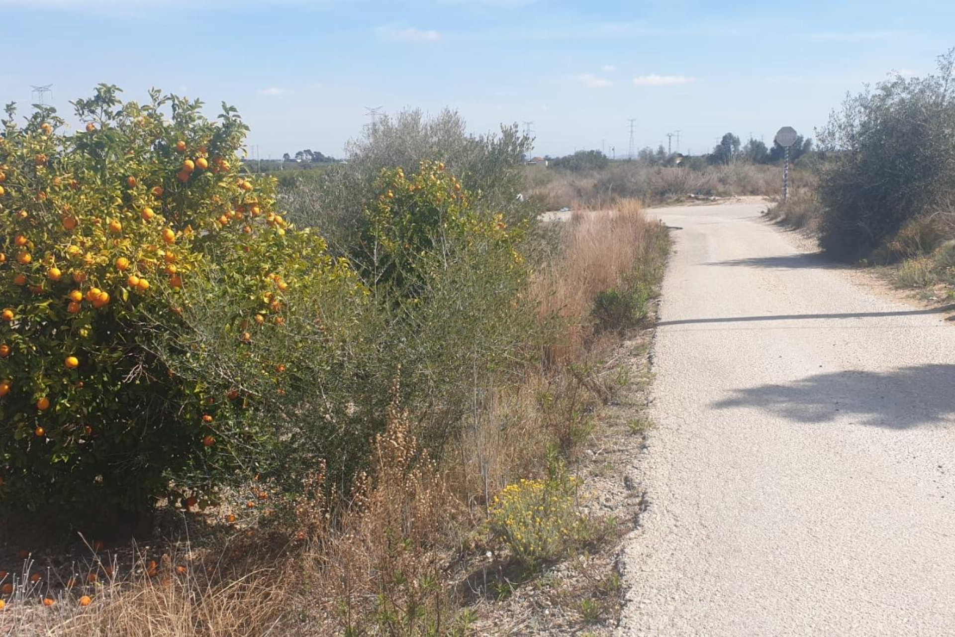 Resale - Plot / Land - Benferri - HUERTA PUEBLO