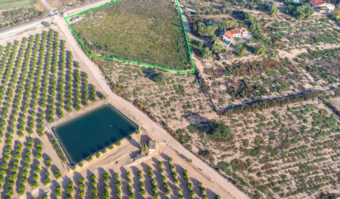 Resale - Plot / Land - Crevillente - Comunidad valenciana