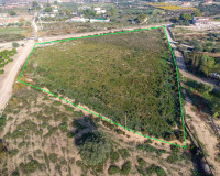 Resale - Plot / Land - Crevillente - Comunidad valenciana