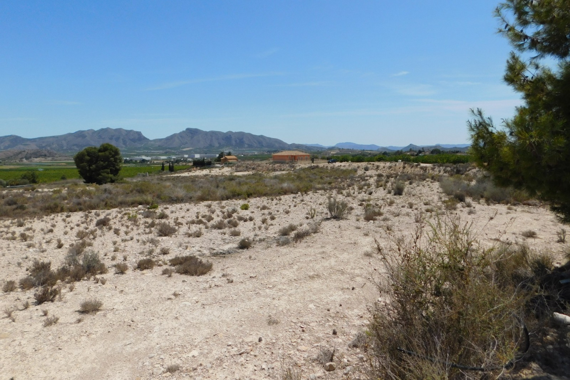 Resale - Plot / Land - Fortuna - Fortuna (murcia)