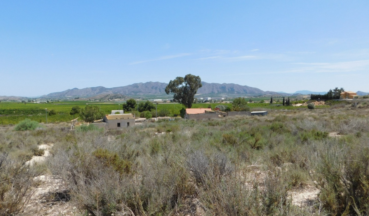 Resale - Plot / Land - Fortuna - Fortuna (murcia)