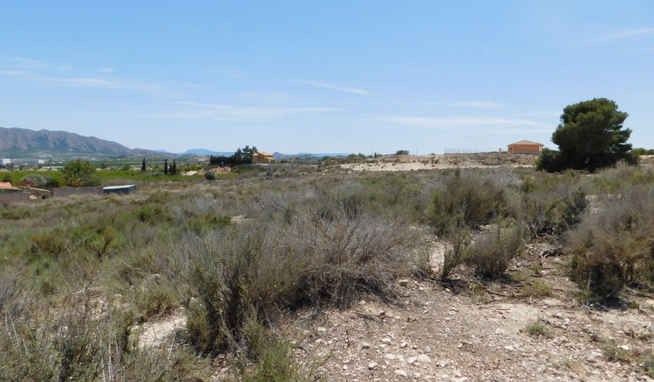 Resale - Plot / Land - Fortuna - Fortuna (murcia)