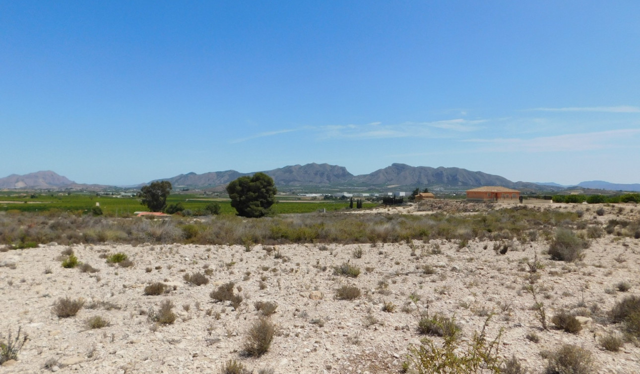 Resale - Plot / Land - Fortuna - Fortuna (murcia)