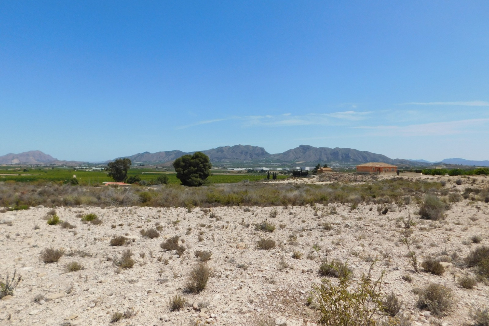 Resale - Plot / Land - Fortuna - Fortuna (murcia)