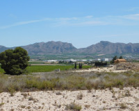 Resale - Plot / Land - Fortuna - Fortuna (murcia)