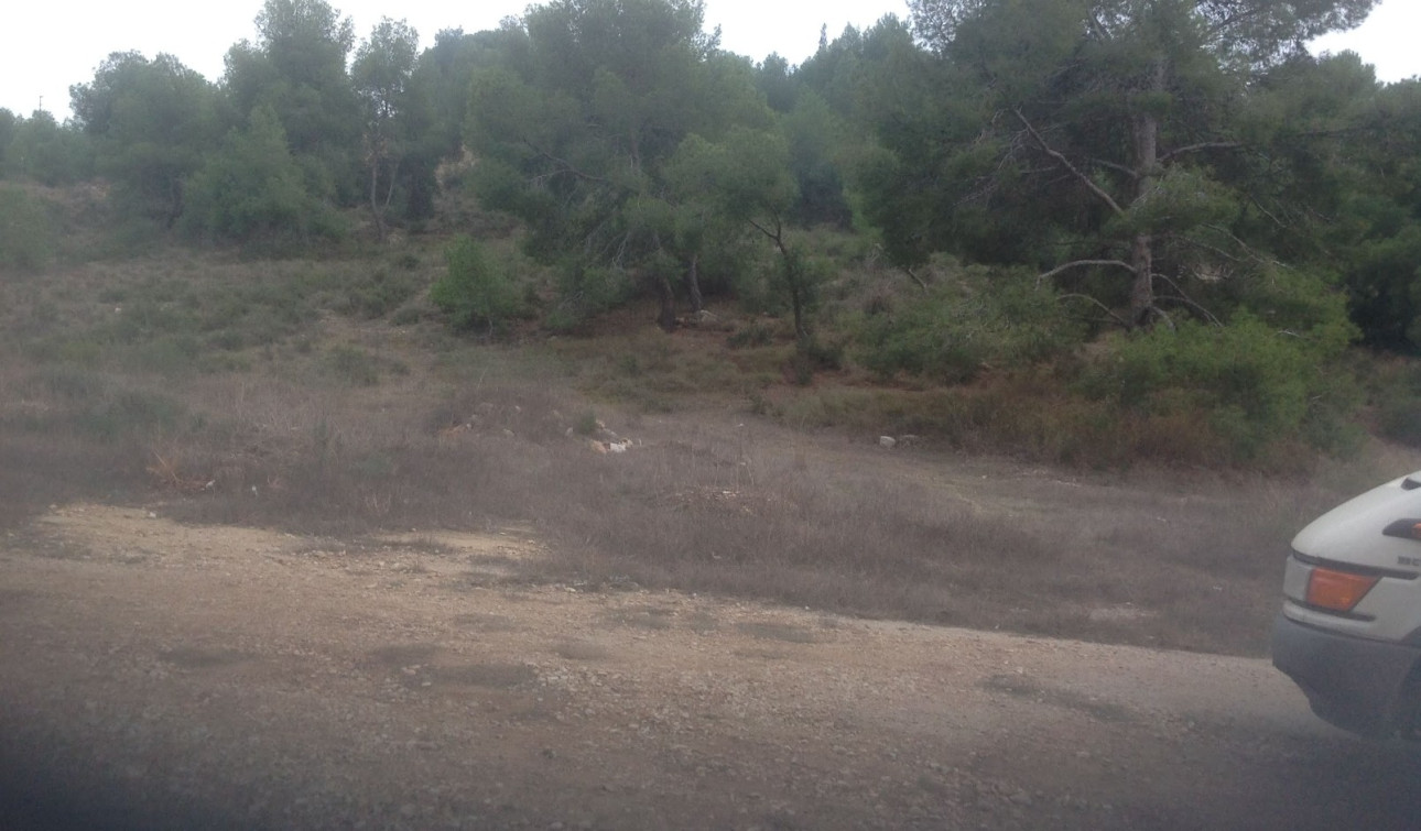 Resale - Plot / Land - Murcia