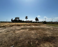 Resale - Plot / Land - San Miguel de Salinas - San Miguel Salinas