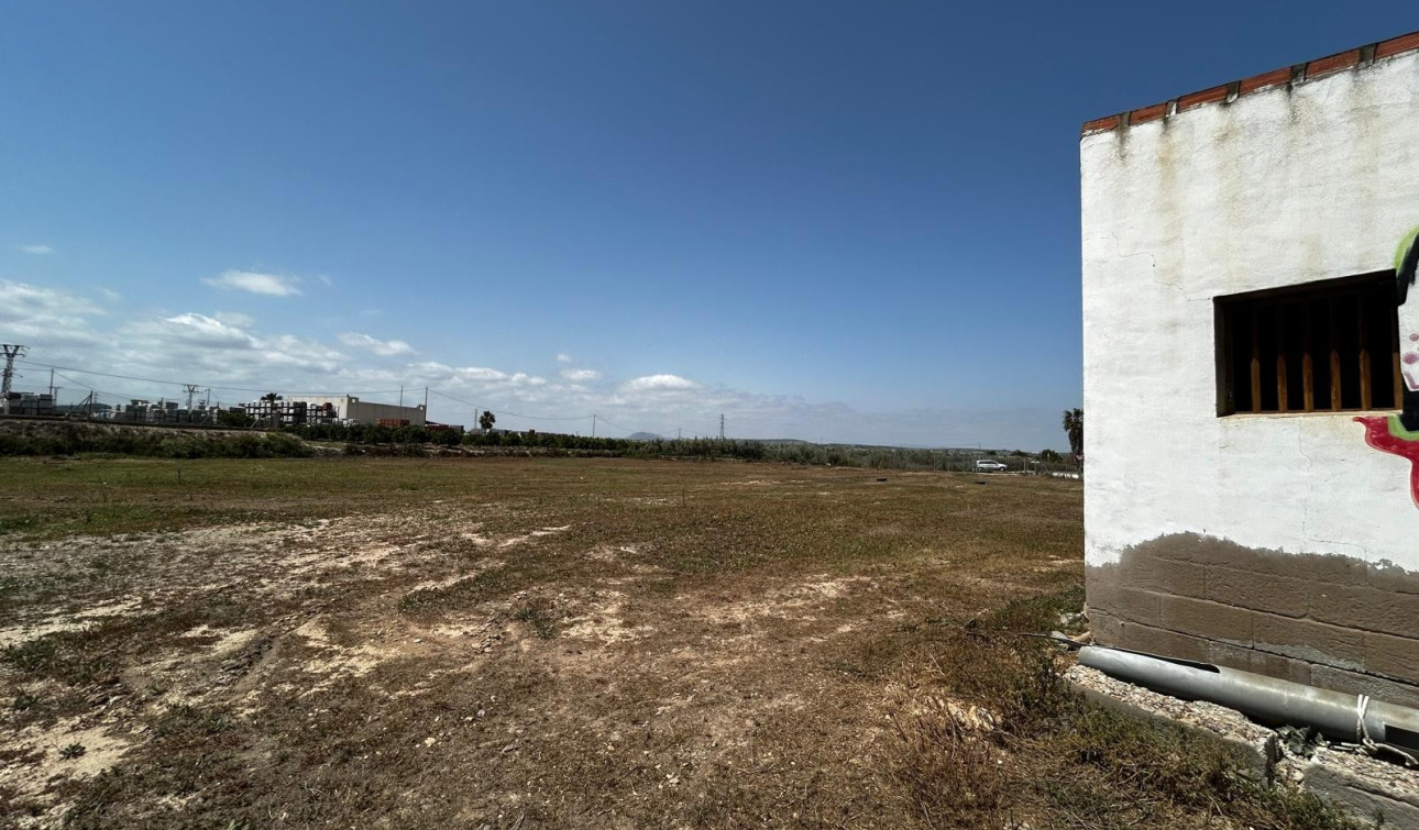 Resale - Plot / Land - San Miguel de Salinas - San Miguel Salinas