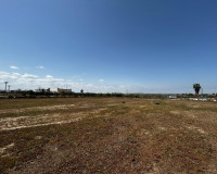 Resale - Plot / Land - San Miguel de Salinas - San Miguel Salinas