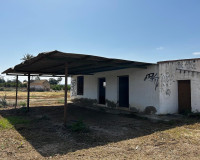 Resale - Plot / Land - San Miguel de Salinas - San Miguel Salinas