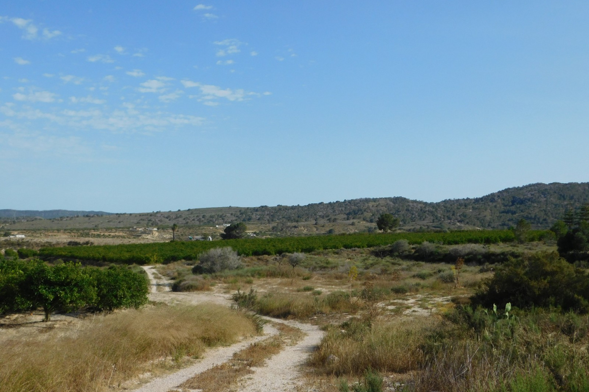 Resale - Plot / Land - Torremendo