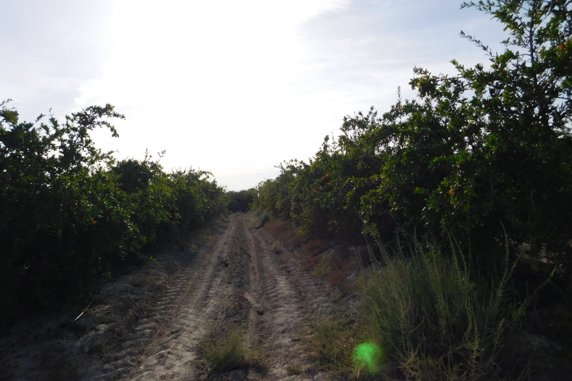 Resale - Plot / Land - Torremendo